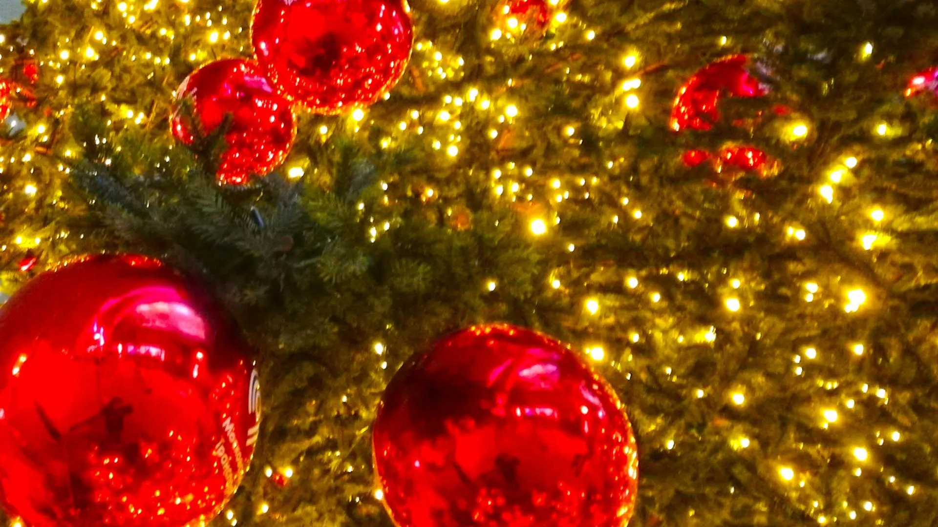 Фото: Дмитрий Кравцов