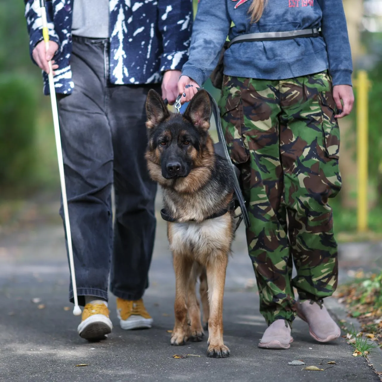 Belkin Alexey/news.ru