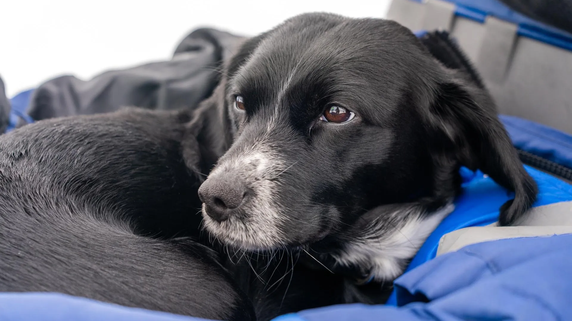 медиасток.рф