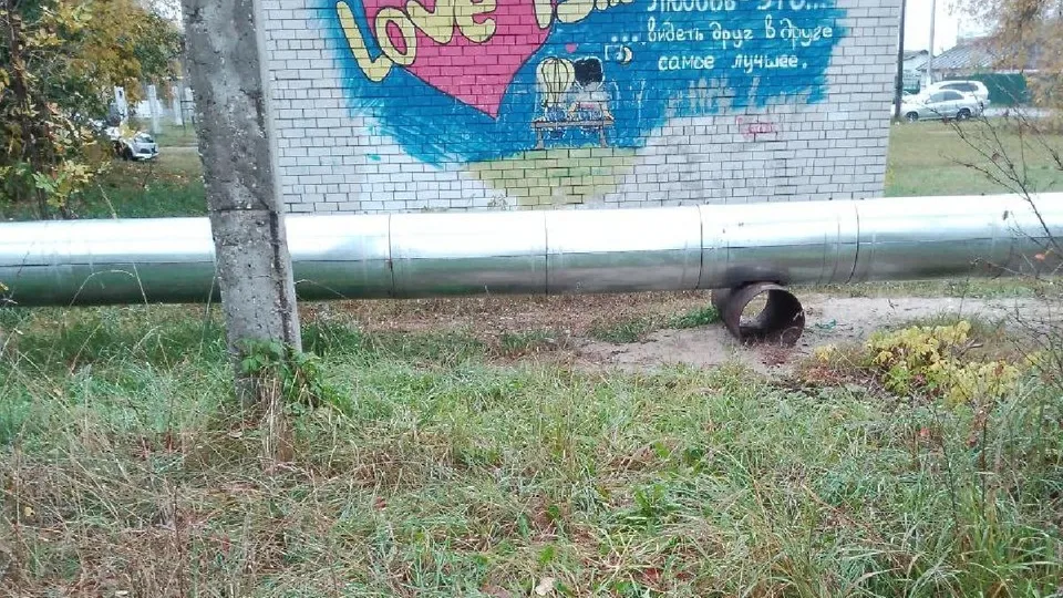 Фото: пресс-служба г.о. Шатура