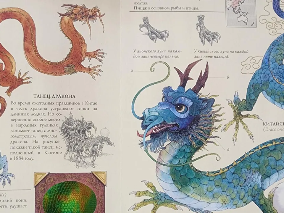 Фото: Хавива Фонина