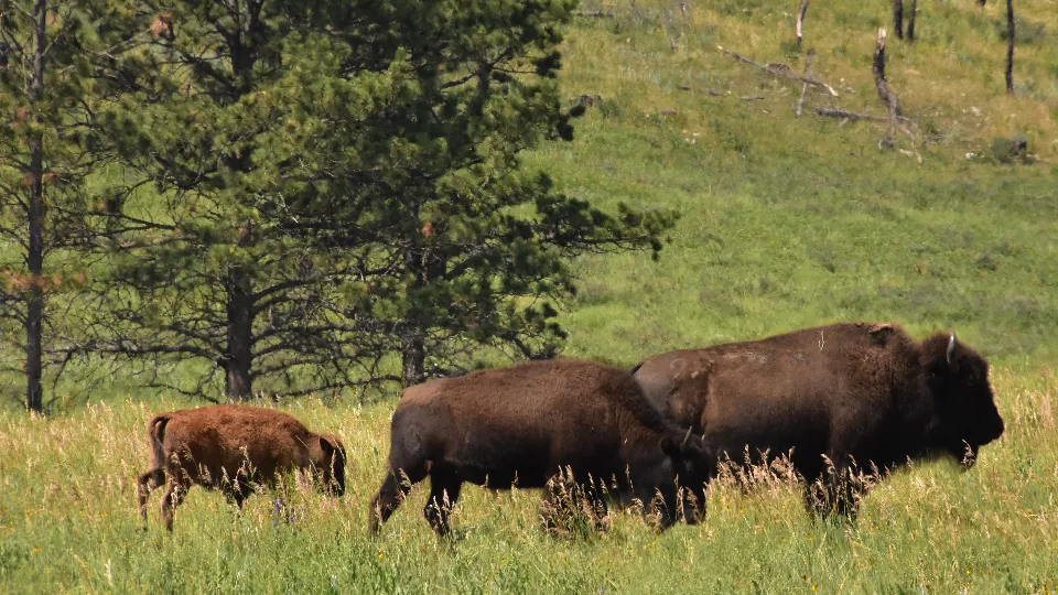 Фото: freepik.com