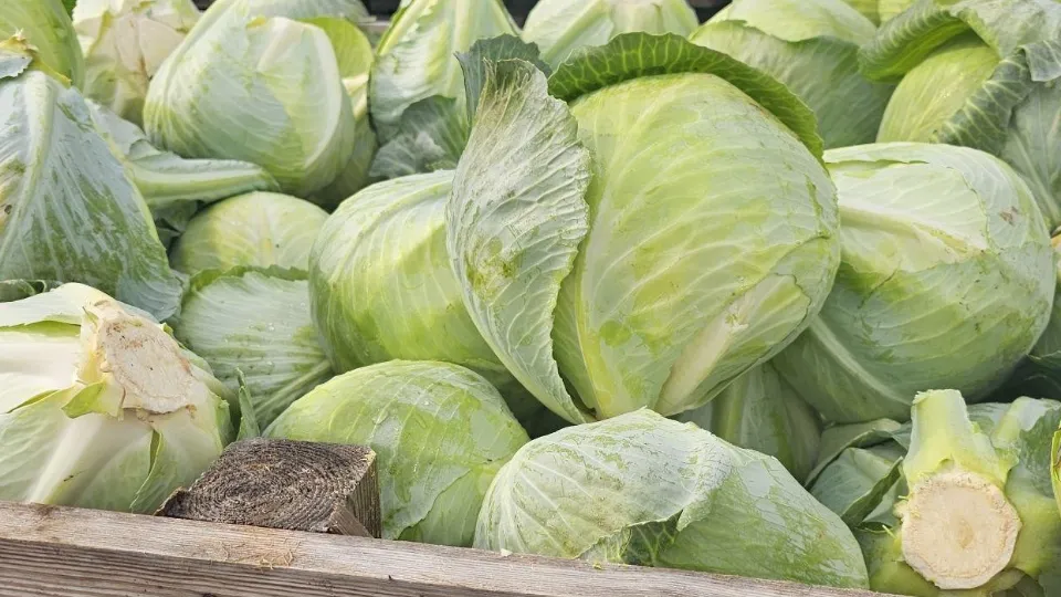 Фото: Администрация Коломны