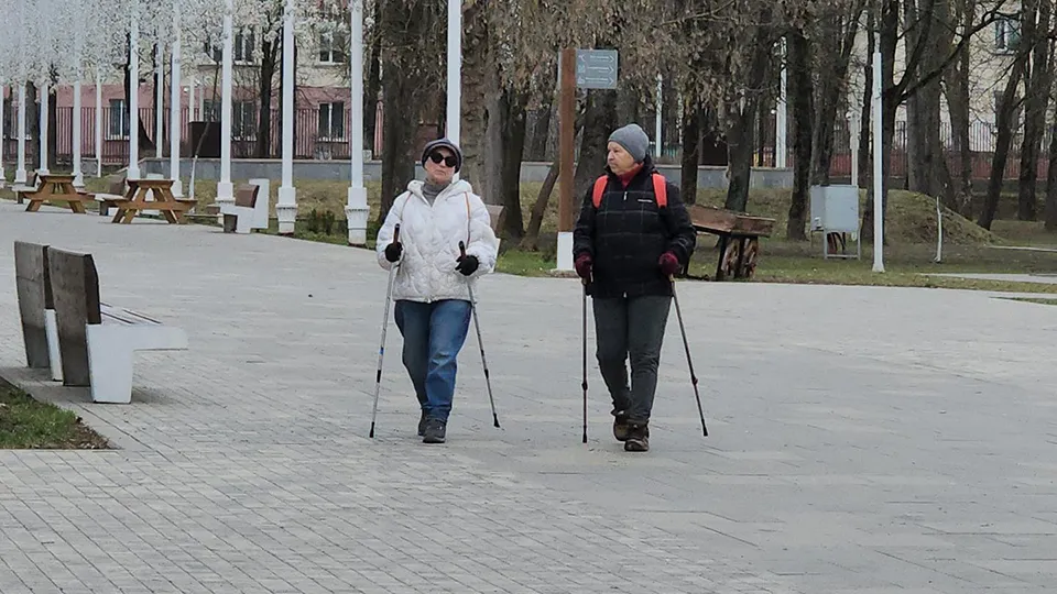 Фото: МедиаБанк Подмосковья/Екатерина Морозова