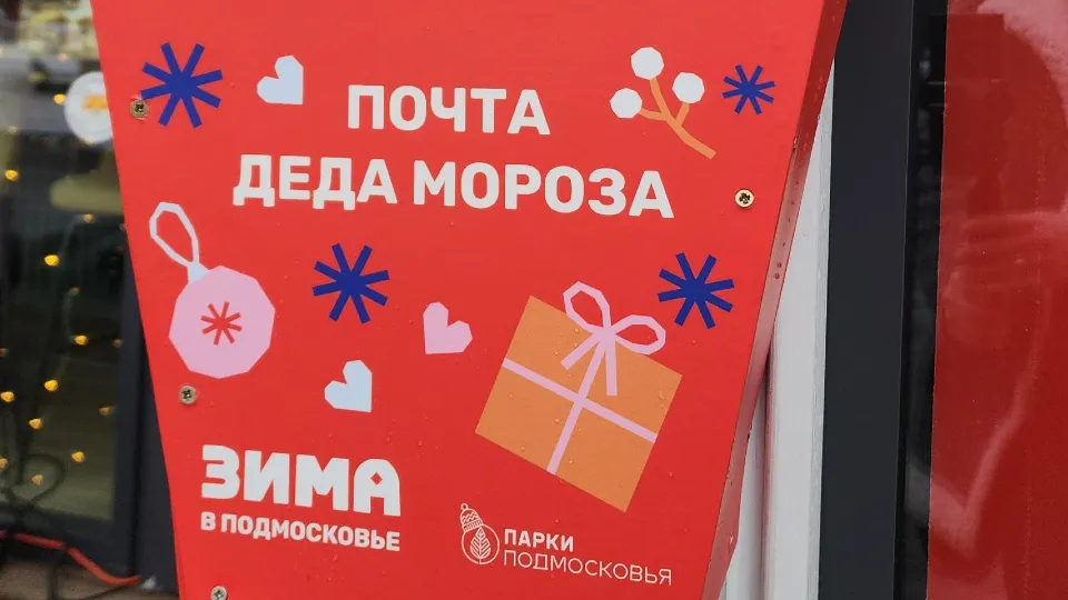 Фото: пресс-служба администрации г.о. Электросталь