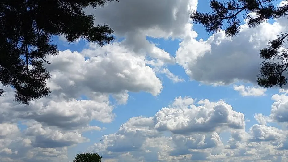 Фото: Олег Книжник