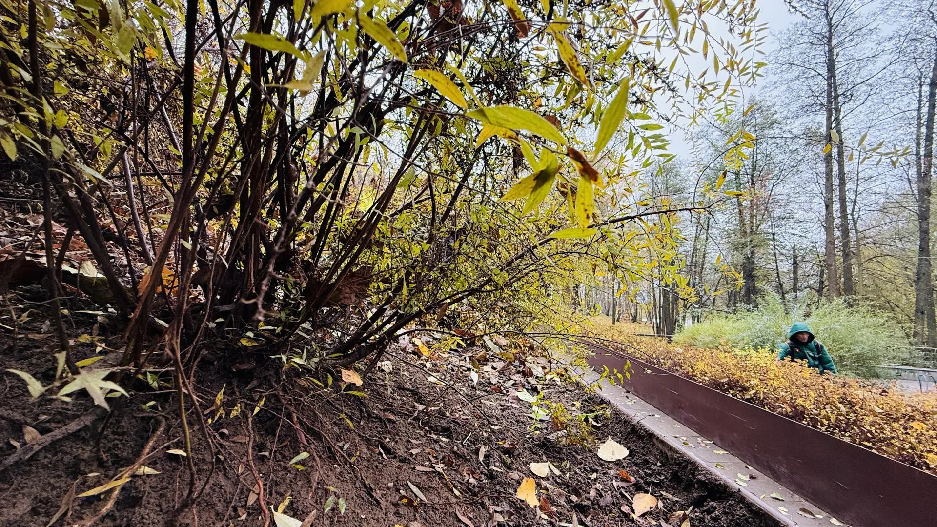 Фото: МедиаБанк Подмосковья/Ольга Стаферова