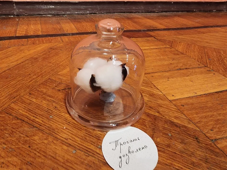 Фото: REGIONS/Александр Степушкин