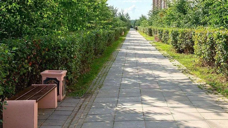 В парке Подольска установили новые скамейки