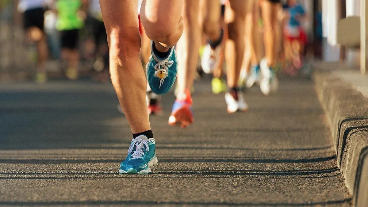 Фото: Pixabay.com