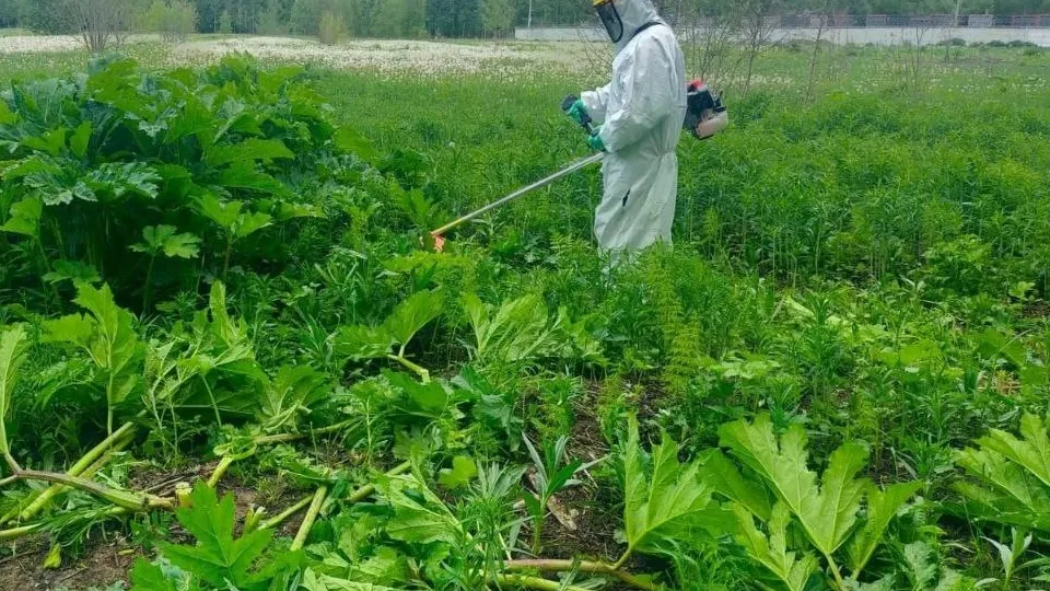 Фото: пресс-служба администрации Орехово-Зуевского г.о.