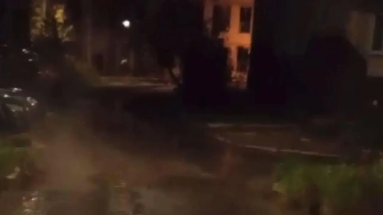 фото: соцсети