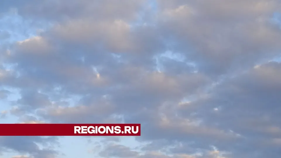Фото: REGIONS/Юлия Куделькина