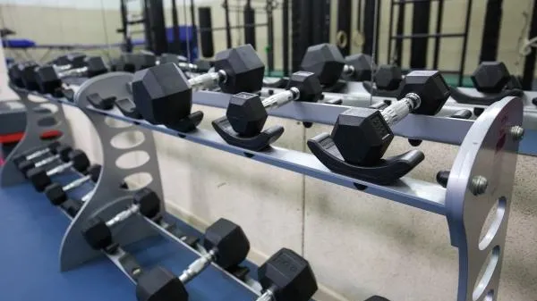 В России предложили ввести налоговые вычеты для расходов на спорт