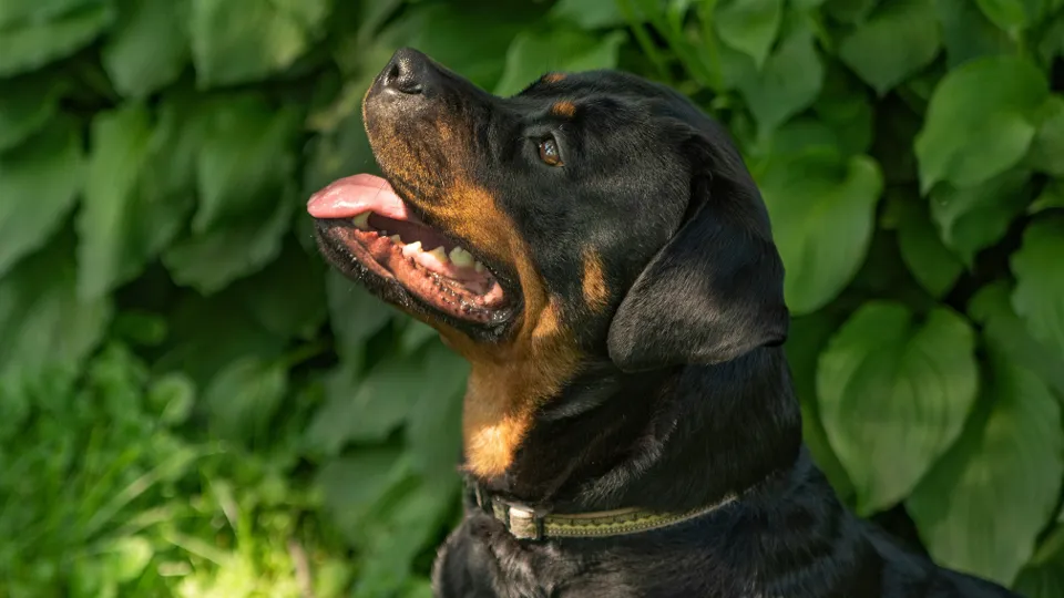 Фото: unsplash.com