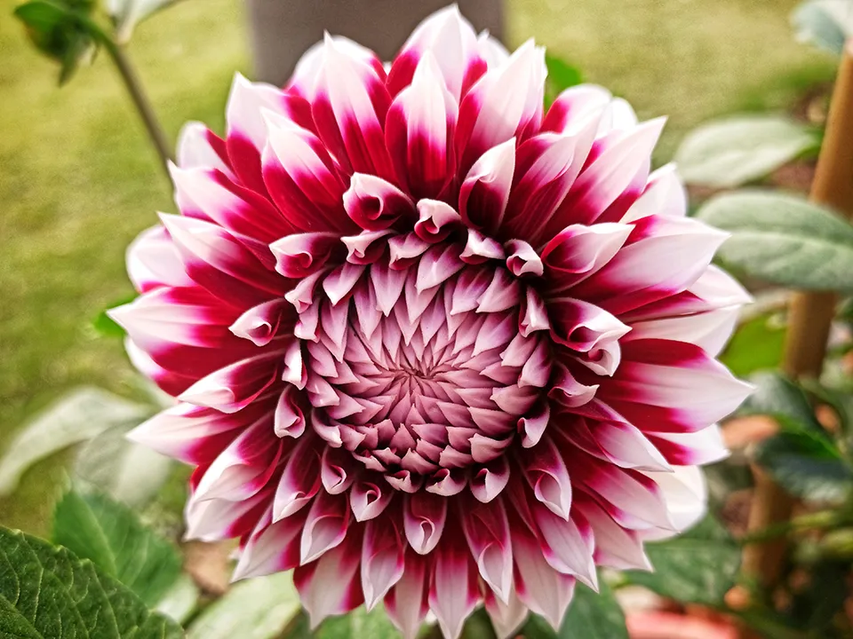 Фото: freepik.com