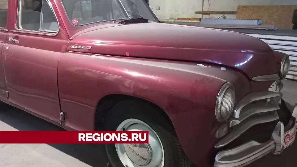 Фото: Елена Шумакова