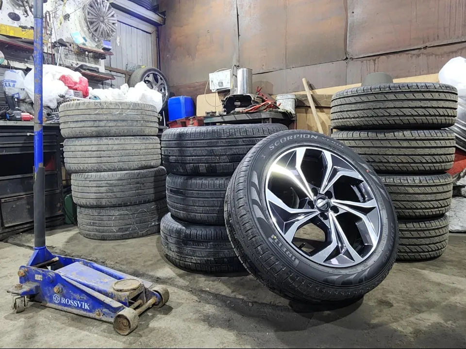 Фото: МедиаБанк Подмосковья/Дмитрий Беденко