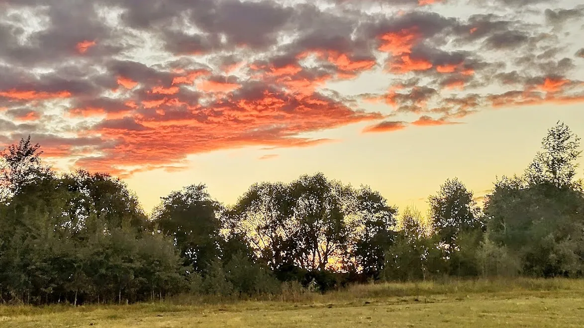 Фото: REGIONS/Алексей Селиверстов