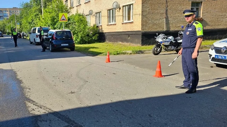 Фото: ОМВД России по г.о. Ступино