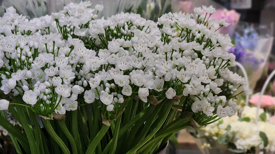Фото: МедиаБанк Подмосковья/Валерия Тингаева