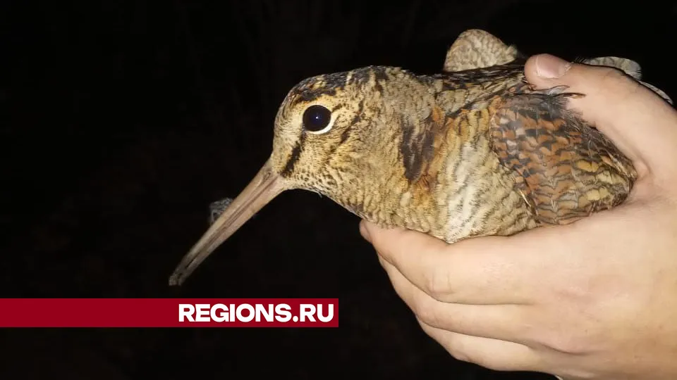 Фото: личный архив Марины Лагуткиной