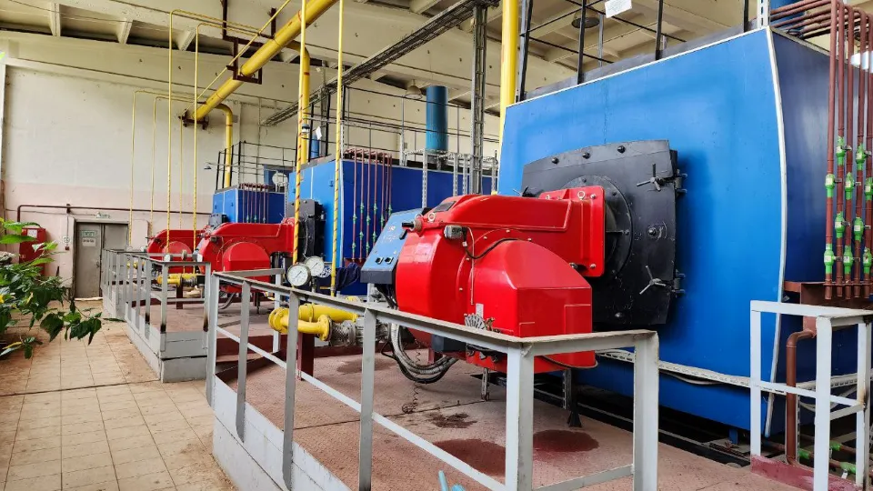 Фото: МедиаБанк Подмосковья/Елена Лабзина