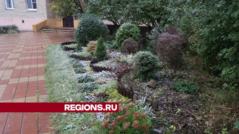 Фото: Алексей Грызлов