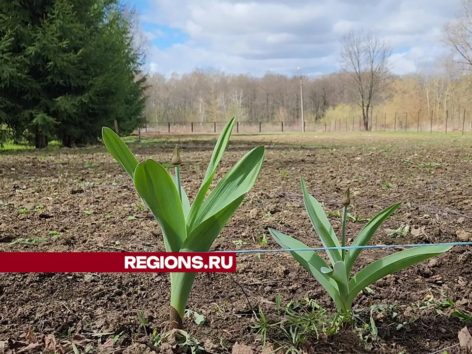 Фото: Андрей Семибратов