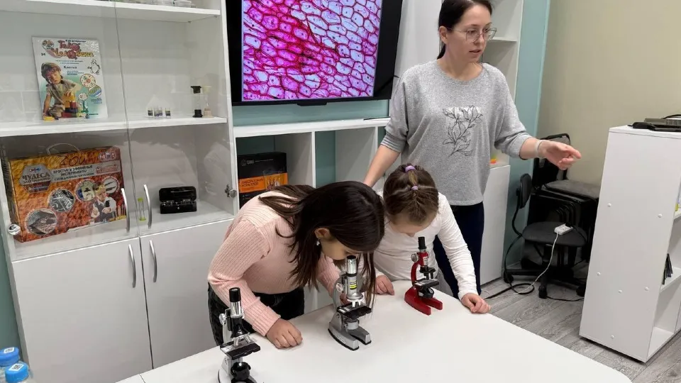 Фото: Библиотеки Электростали