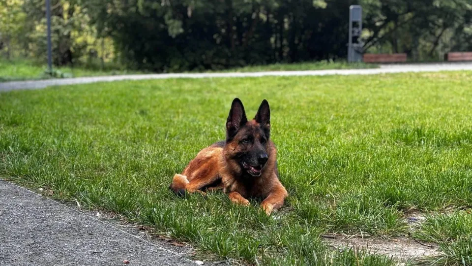 Фото: пресс-служба администрации г.о. Подольск