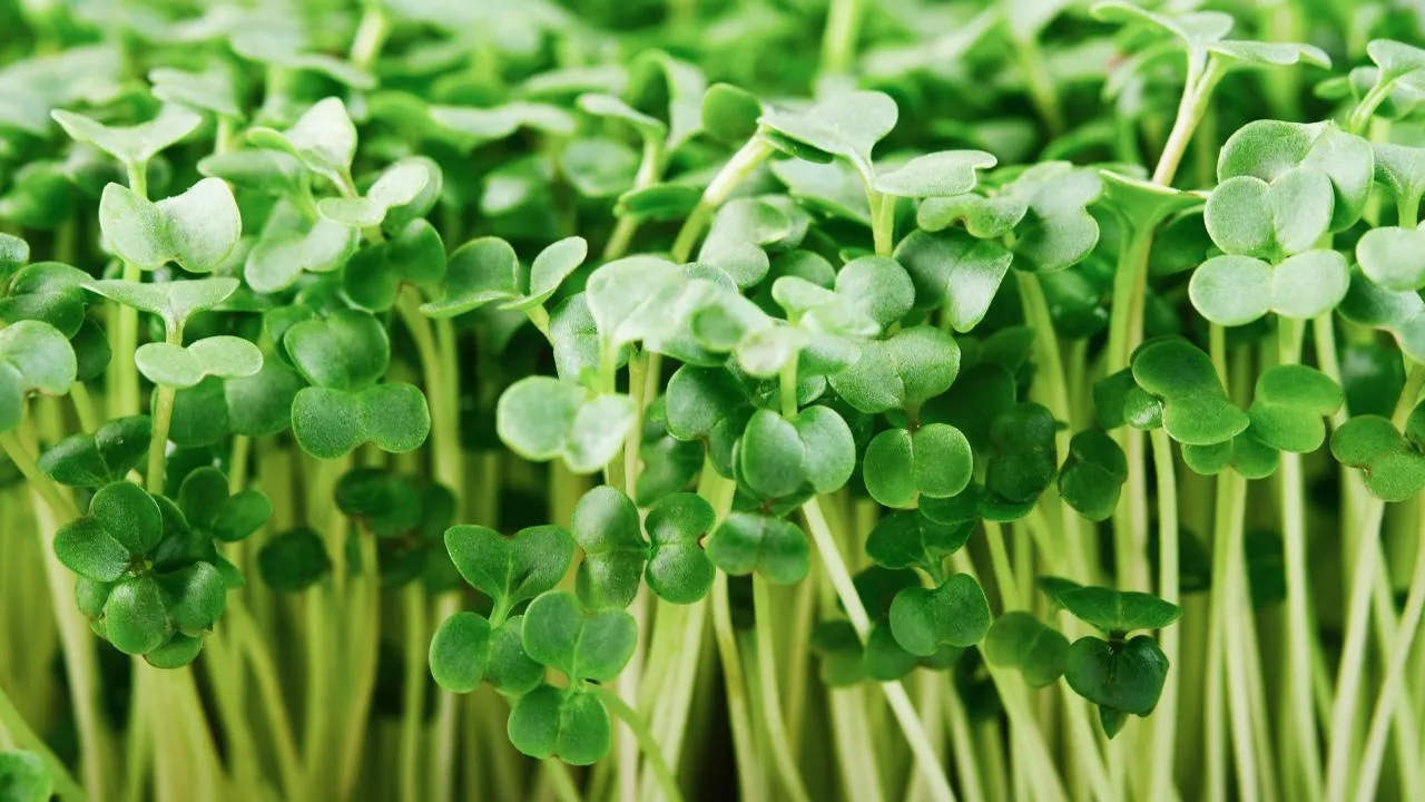 istockphoto.com/TanyaJoy