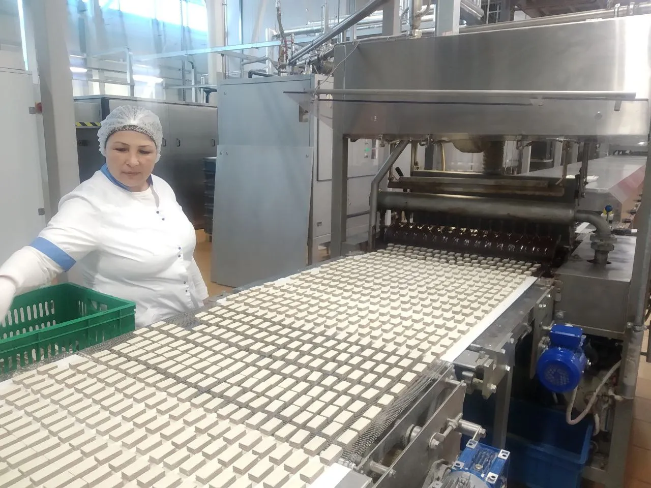 Фото: Татьяна Синельникова