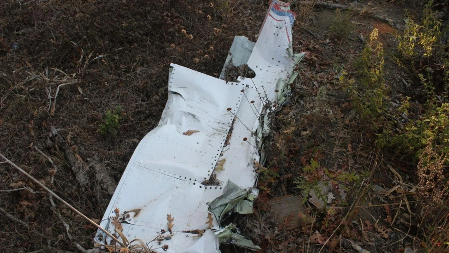 sledcom.ru/Global Look Press