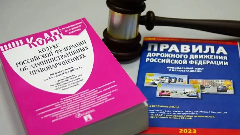 Фото: пресс-служба МВД