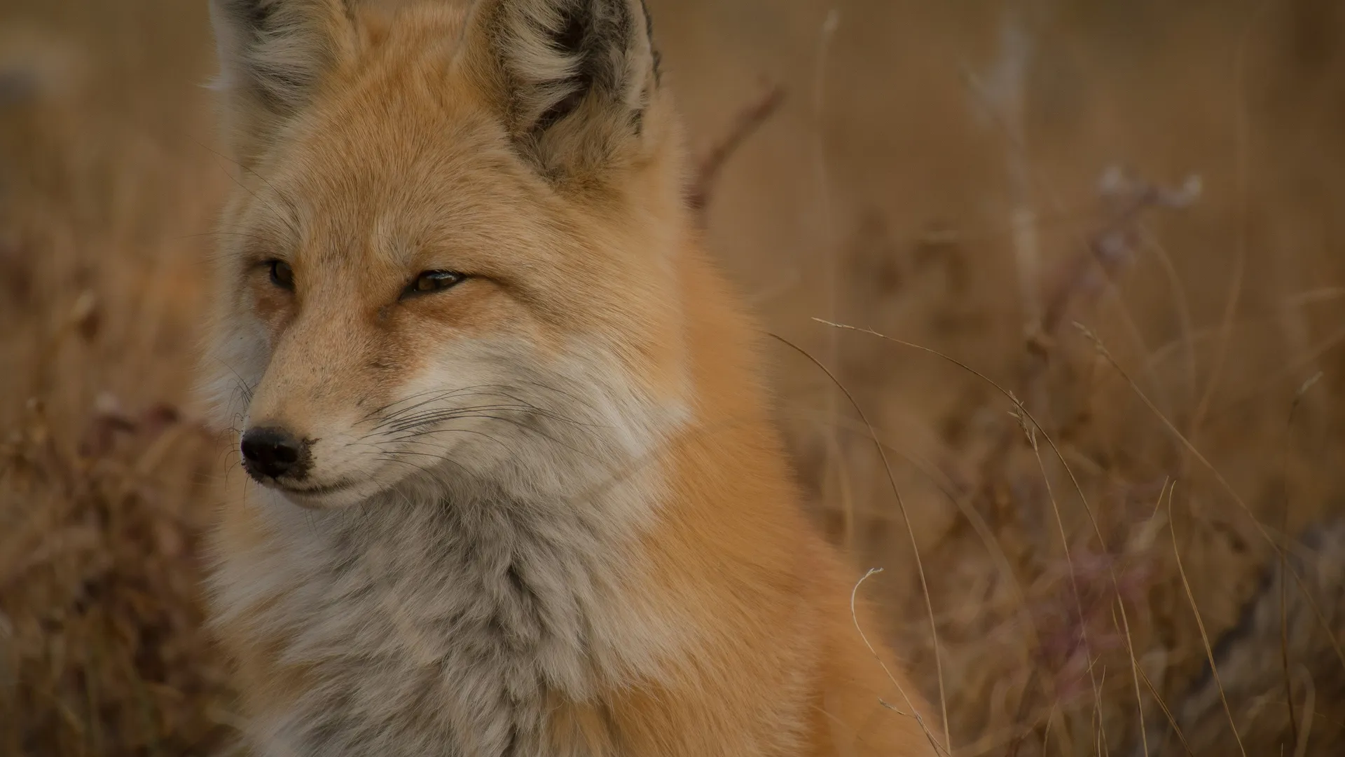 Фото: unsplash.com