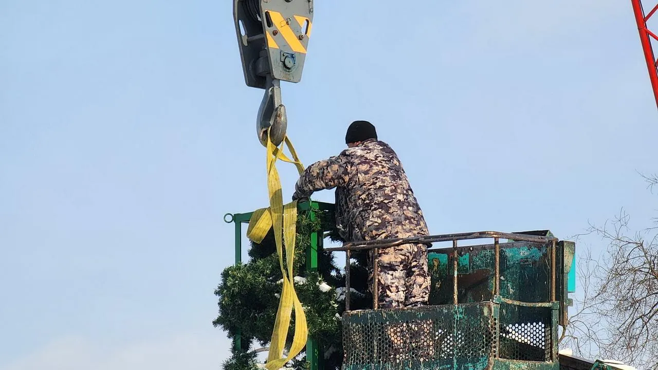 МедиаБанк Подмосковья/Ольга Аввакумова