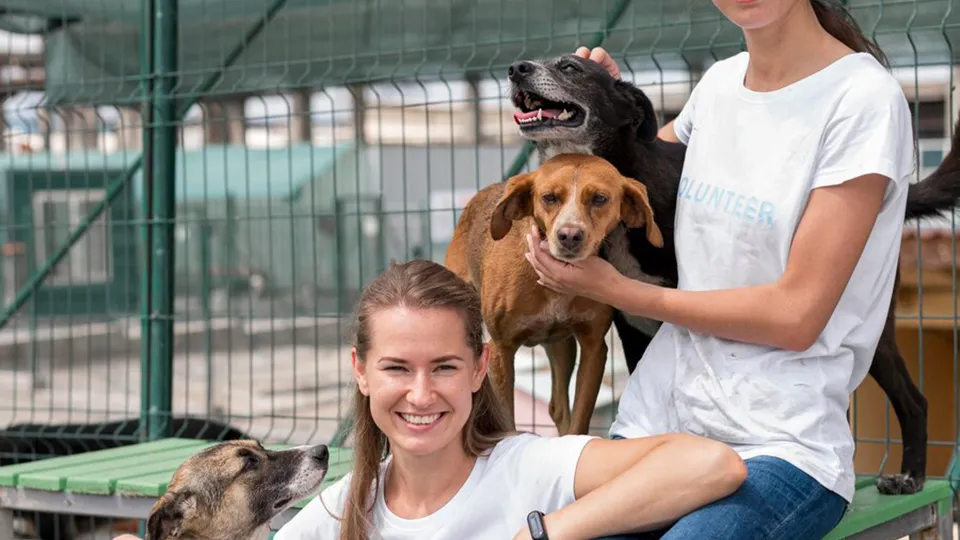 Фото: freepik.com