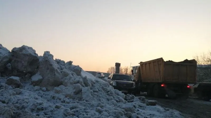 Фото: Министерство экологии и природопользования Московской области