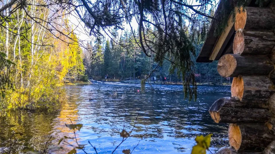 Фото: REGIONS/Роман Малышенко