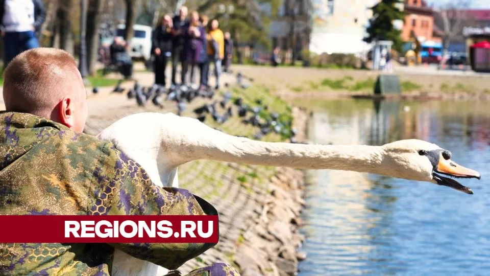Фото: Дмитрий Зайчиков