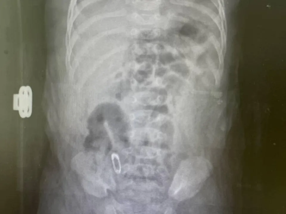 Фото: Министерство здравоохранения Московской области