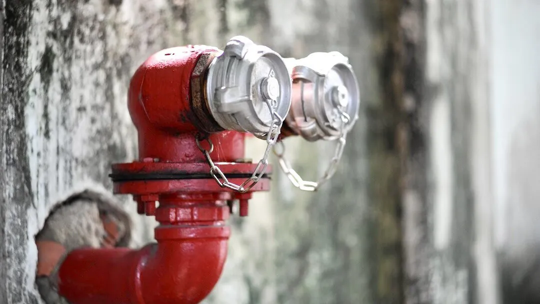 Фото: freepik.com