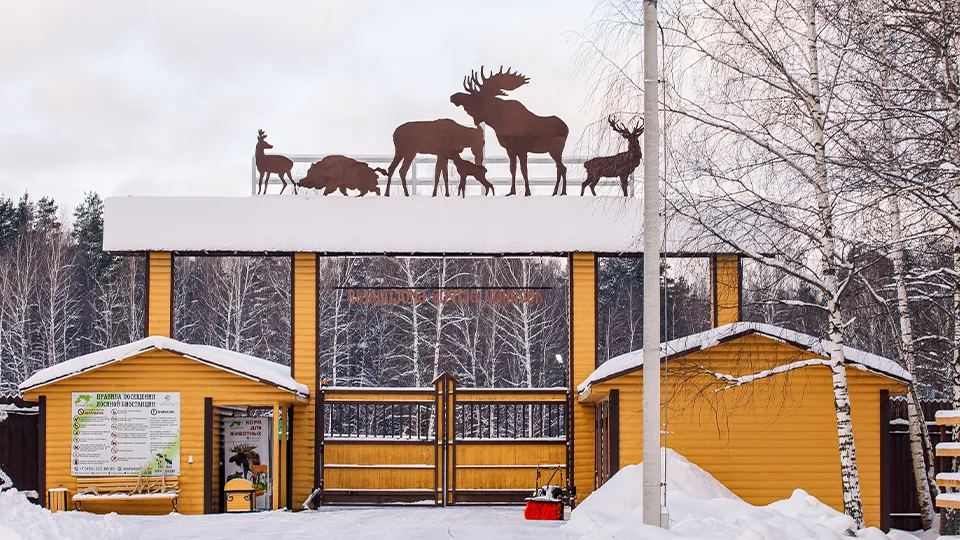 Фото: медиасток.рф