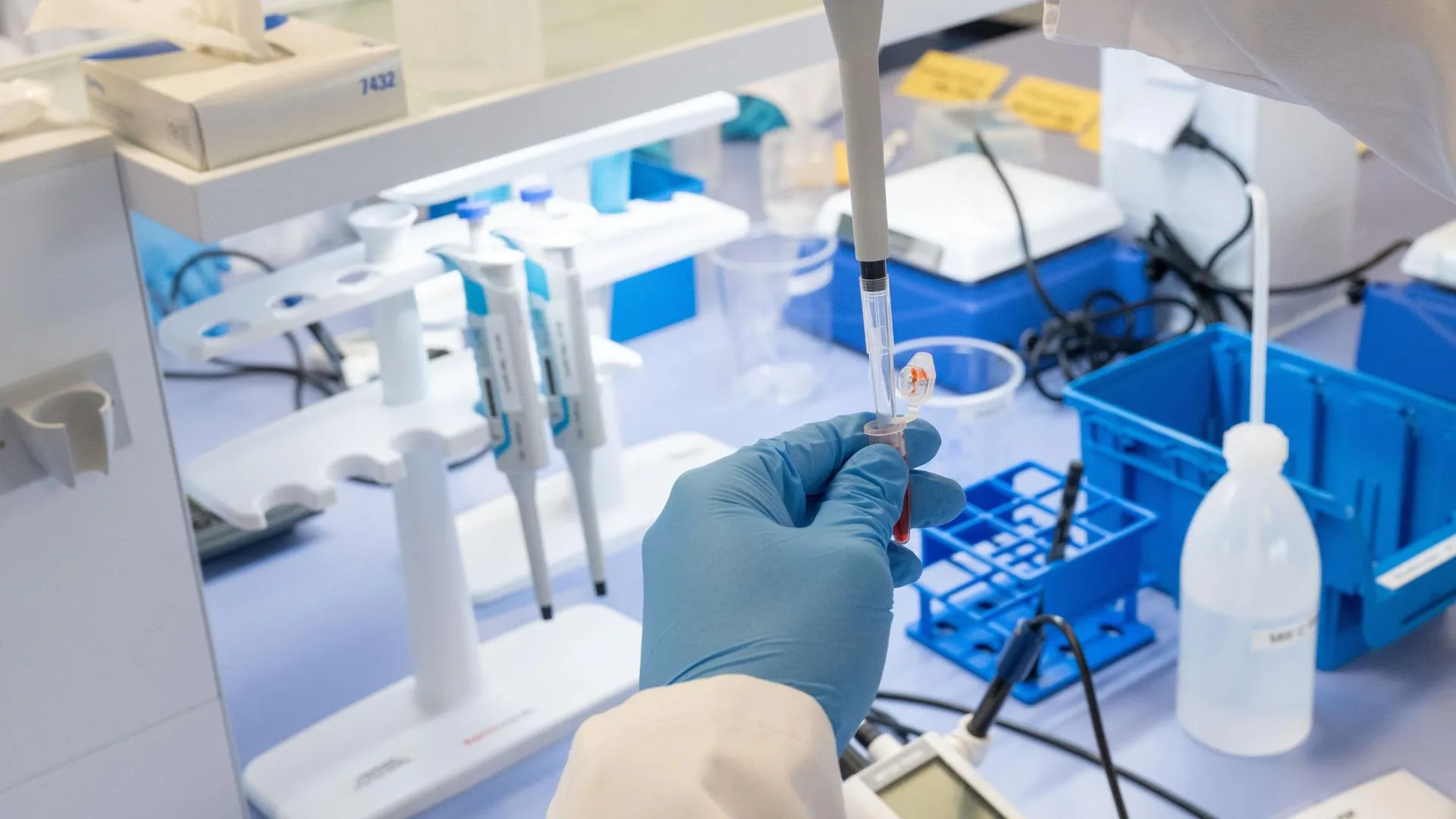 Jonas Roosens/Keystone Press Agency