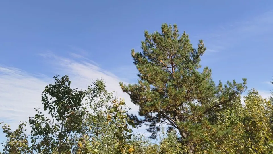 Фото: REGIONS/Юлия Куделькина