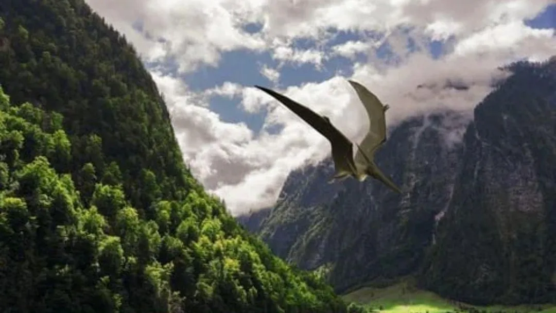 Фото: Pixabay.com