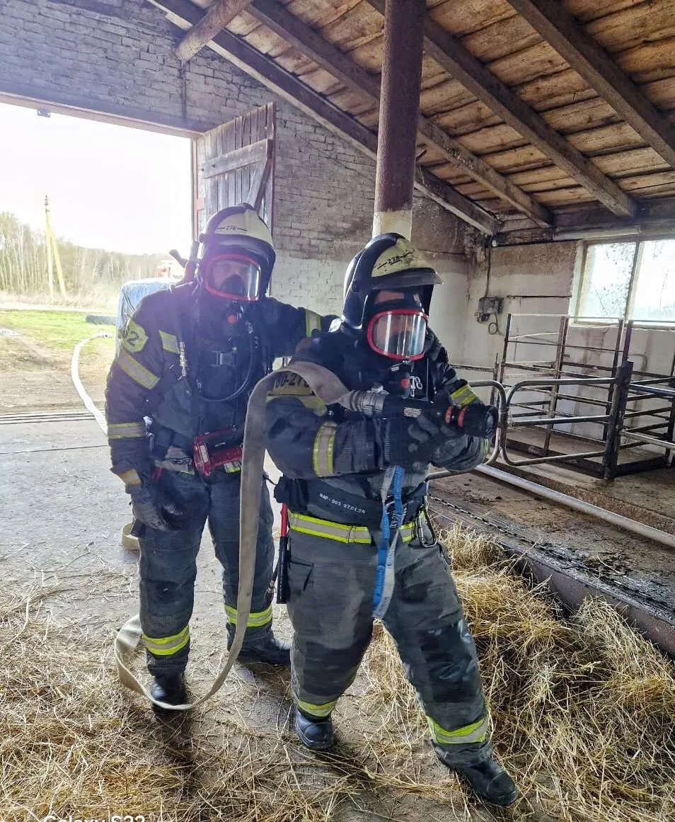 Фото: ГКУ МО «Мособлпожспас»&nbsp;