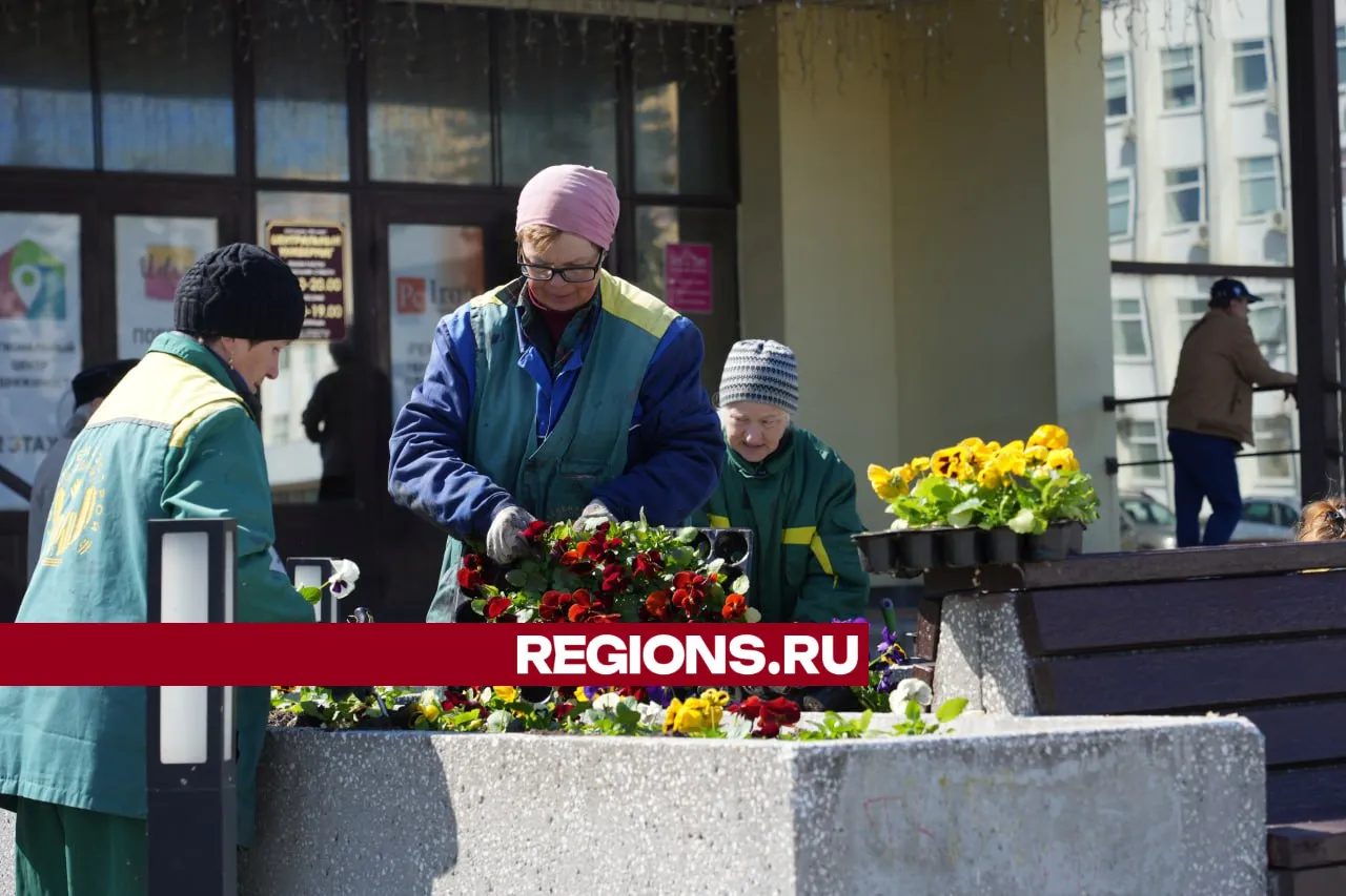 Фото: REGIONS/Дмитрий Зайчиков