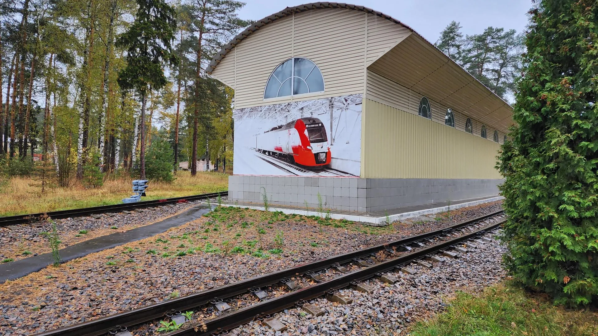 Ирина Моисеева